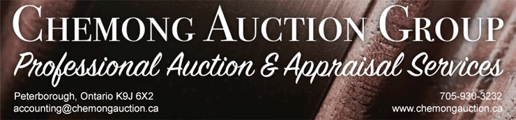 Auctioneer Banner