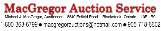 Auctioneer Banner